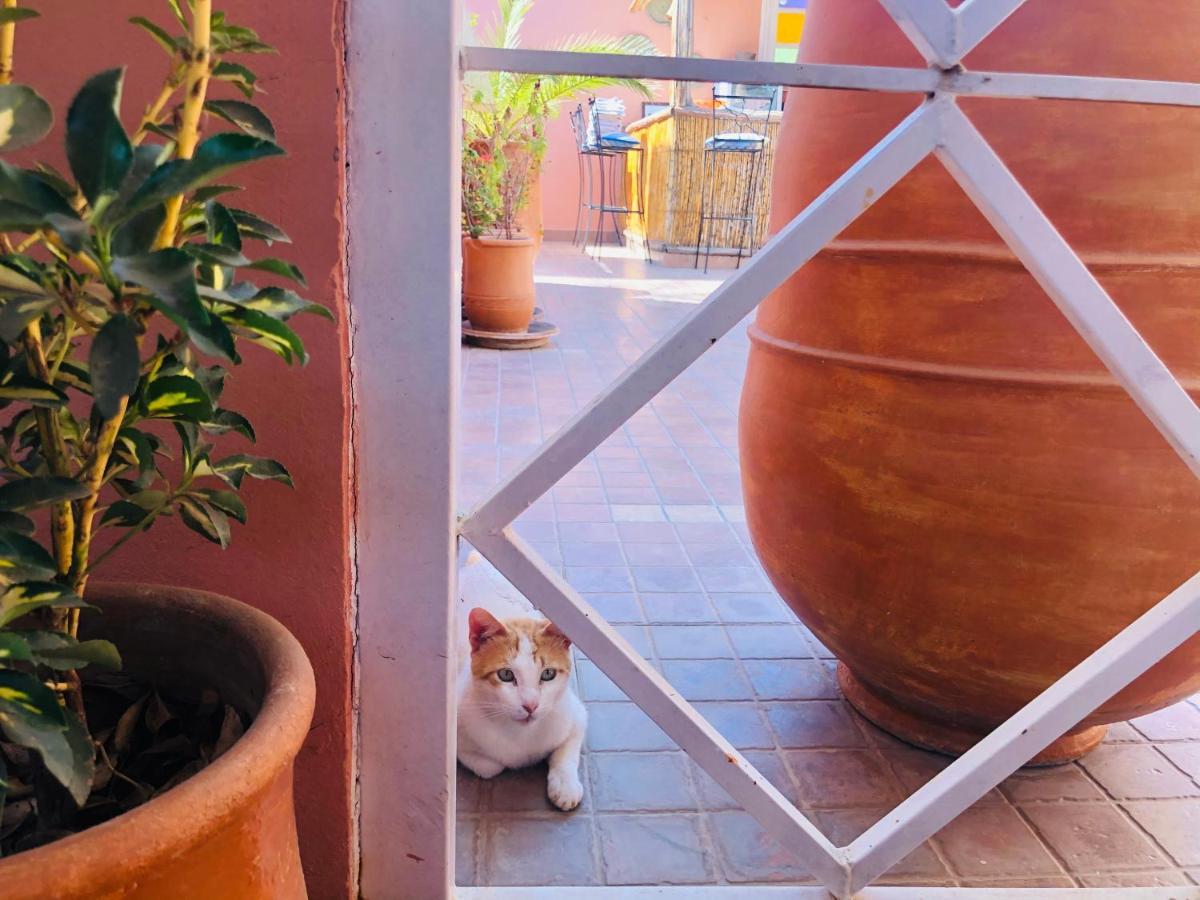 Riad Dihya Marrakesh Exterior photo